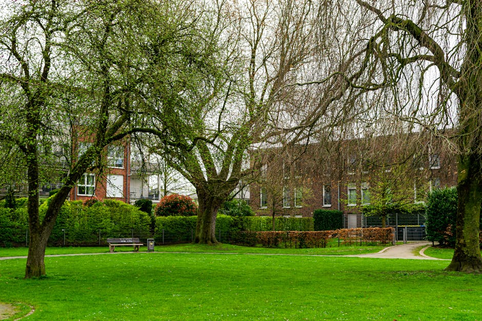 A peaceful urban park scene featuring a well-maintained grassy area with a vibrant green hue in the foreground, bordered by several mature deciduous trees, some with budding leaves and others with bare branches, indicating early spring. The trees have textured, rough bark and extend their limbs across the scene, with one leaning slightly to the left. In the background, there are modern multi-story residential buildings constructed of red and brown brick, with white window frames, some of which feature balconies with metal railings. The park includes a wooden bench situated beneath the trees and a small, dark-colored trash bin nearby, along with a meandering paved footpath curving gently through the area. The scene is illuminated by soft, diffuse daylight, possibly overcast, creating even lighting that highlights the lush greenery and the textures of the tree bark. The overall setting reflects a tidy, maintained space that could accommodate private rubbish removal services, such as those provided by Rubbish Removal Kennington, to manage waste from nearby residences or communal areas in an urban environment.