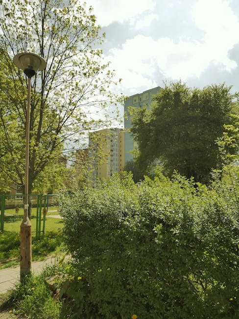 A peaceful urban park scene featuring a well-maintained grassy area with a vibrant green hue in the foreground, bordered by several mature deciduous trees, some with budding leaves and others with bare branches, indicating early spring. The trees have textured, rough bark and extend their limbs across the scene, with one leaning slightly to the left. In the background, there are modern multi-story residential buildings constructed of red and brown brick, with white window frames, some of which feature balconies with metal railings. The park includes a wooden bench situated beneath the trees and a small, dark-colored trash bin nearby, along with a meandering paved footpath curving gently through the area. The scene is illuminated by soft, diffuse daylight, possibly overcast, creating even lighting that highlights the lush greenery and the textures of the tree bark. The overall setting reflects a tidy, maintained space that could accommodate private rubbish removal services, such as those provided by Rubbish Removal Kennington, to manage waste from nearby residences or communal areas in an urban environment.